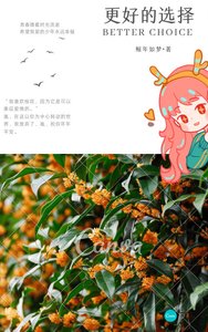 《更好的选择》