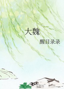 《大魏》