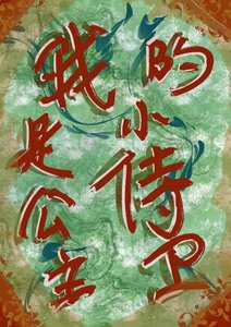 《我是公主的小侍卫》