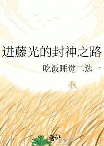 《进藤光的封神之路》