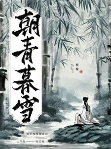 《朝青暮雪》