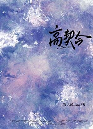 《高契合》