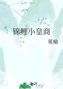 《锦鲤小皇商》