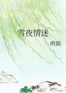《雪夜情迷》