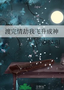 《渡完情劫我飞升成神》