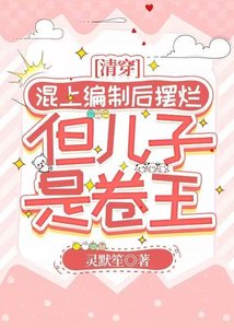 《混上编制后摆烂,但儿子是卷王(清穿)》