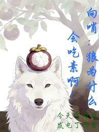 向哨:狼为什么会吃素啊!