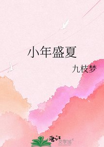 《小年盛夏》