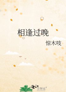 《相逢过晚》