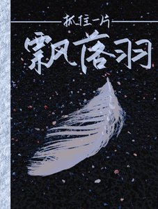 《抓住一片飘落羽》