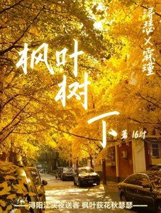 《枫叶树下》