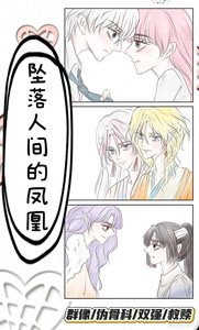《坠落人间的凤凰》