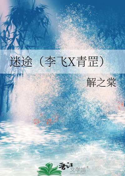 《迷途(李飞X青罡)》