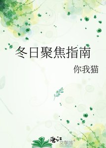 《冬日聚焦指南》