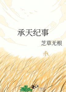 《承天纪事》