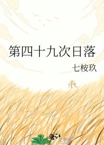 《第四十九次日落》