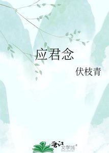 《应念与君经年》