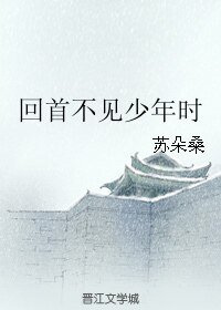 《(BL/三国同人)回首不见少年时》