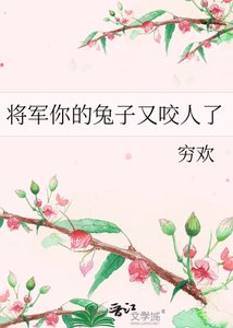 《将军你的兔子又咬人了》