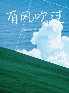 《有风吹过》