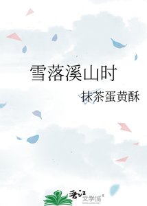 雪落溪山时