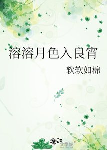 溶溶月色入良宵