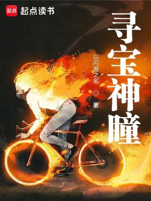 《寻宝神瞳》