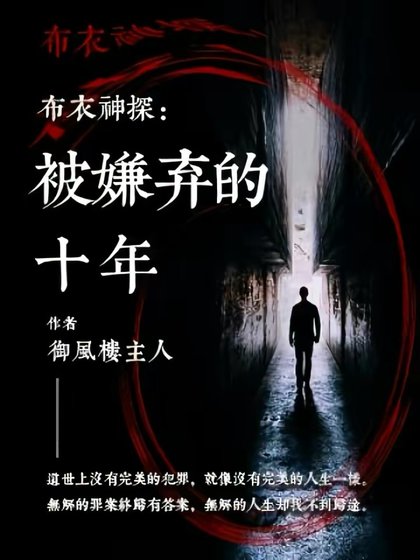 《布衣神探:被嫌弃的十年》
