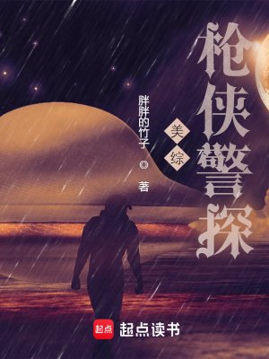 《北美枪侠警探》