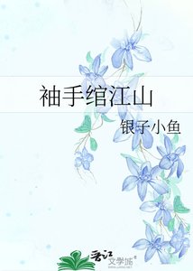 《袖手绾江山》