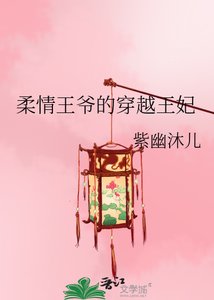 《柔情王爷的穿越王妃》