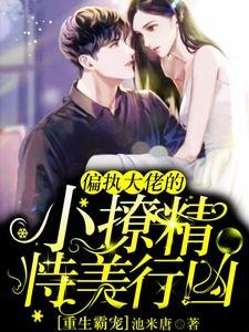 《重生霸宠:偏执大佬的小撩精恃美行凶》