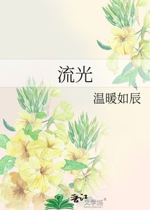 《流光》