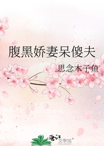 《腹黑娇妻呆傻夫》