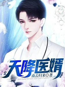 《天降医婿》