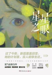 《星星之眼(出书版)》