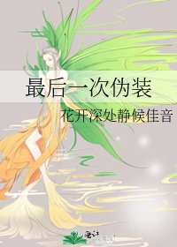 《最后一次伪装》