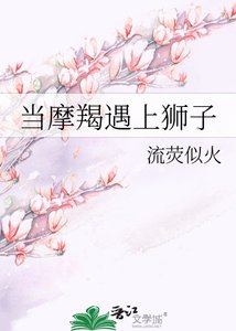 《当摩羯遇上狮子》