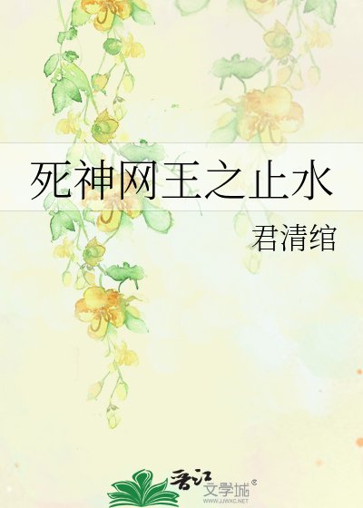 《死神网王之止水》