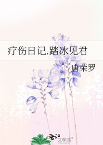《疗伤日记.踏冰见君》