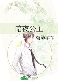 《暗夜公主》
