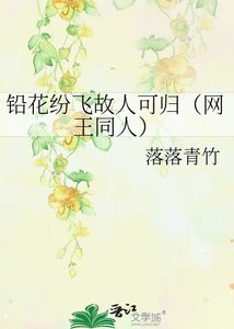 《铅花纷飞故人可归(网王同人)》