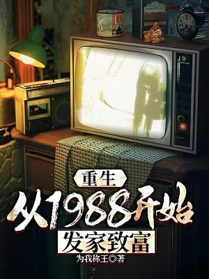 《重生:从1988开始发家致富》