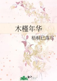 《木槿年华》