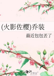 《(火影佐樱)乔装》