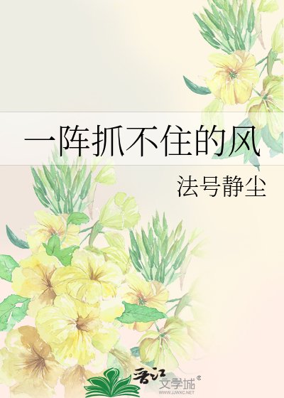 一阵抓不住的风