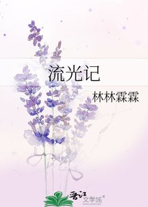 《流光记》