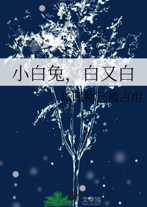 《小白兔,白又白》