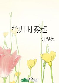 《鹤归时雾起》
