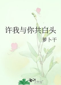 《许我与你共白头》